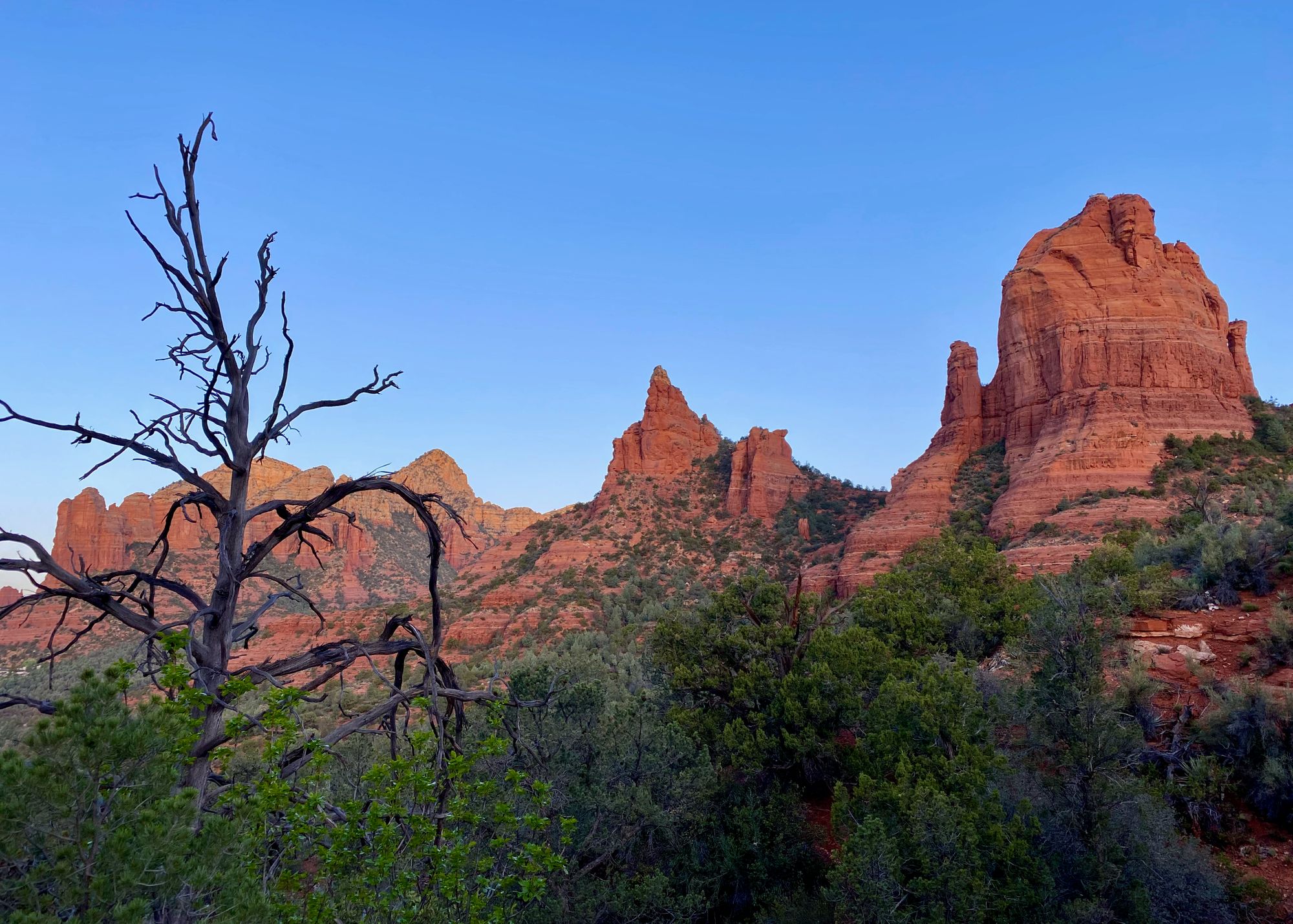 Panoramic Sedona red rock landscape